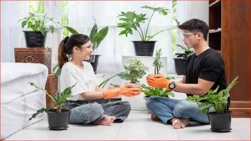 ActivePropertyCare.com – Your Trusted Resource for Home, Garden, and Property Care
